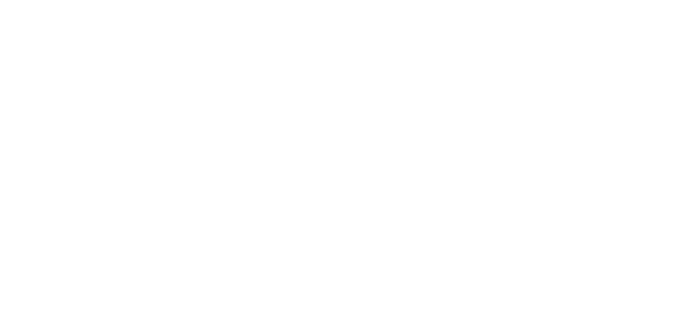 yelcho-logo.png